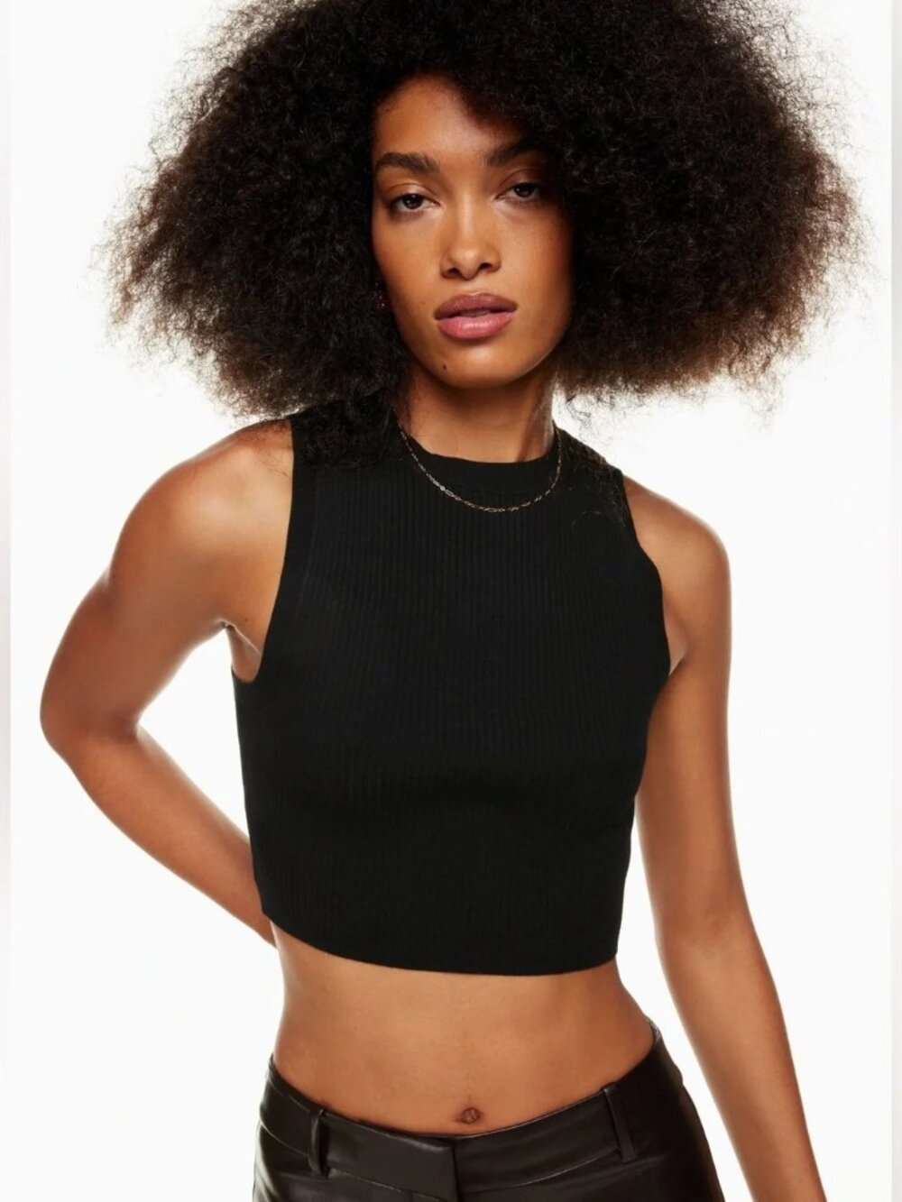Wilfred Sweater Tank | Aritzia Reso Vest